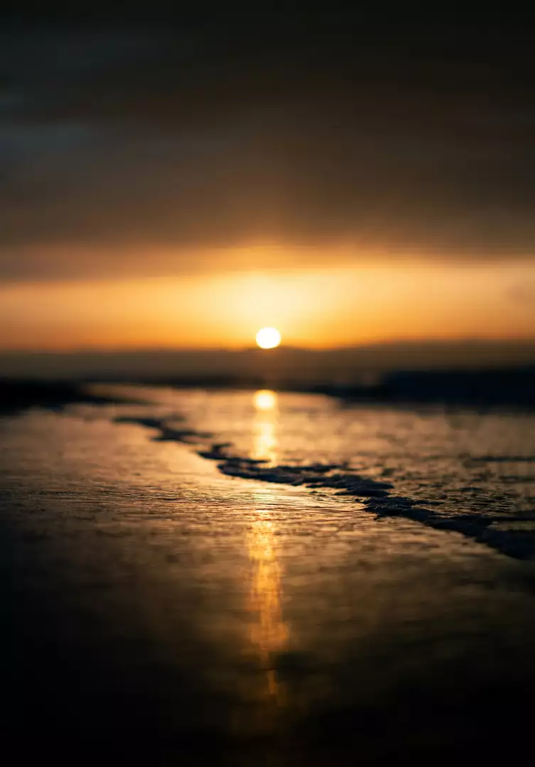 Free Premium Stock Photos Serene Beach Sunset with Golden Sunlight Reflecting on Gentle Waves