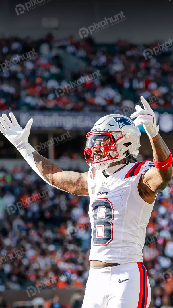 Free Premium Stock Photos New England Patriots player celebrating on the field with fans