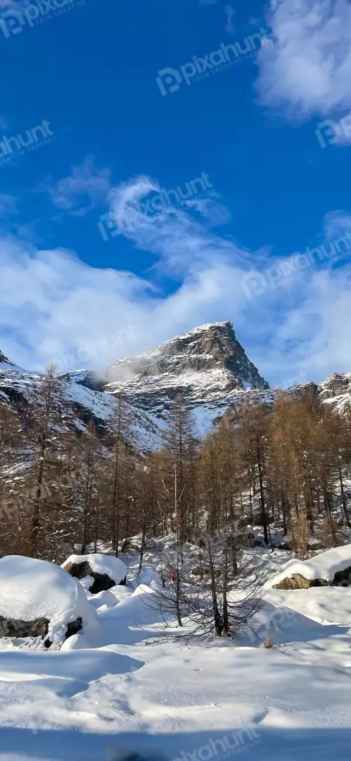 Free Premium Stock Photos Majestic Snow-Capped Mountain Peaks Tower Over a Winter Forest