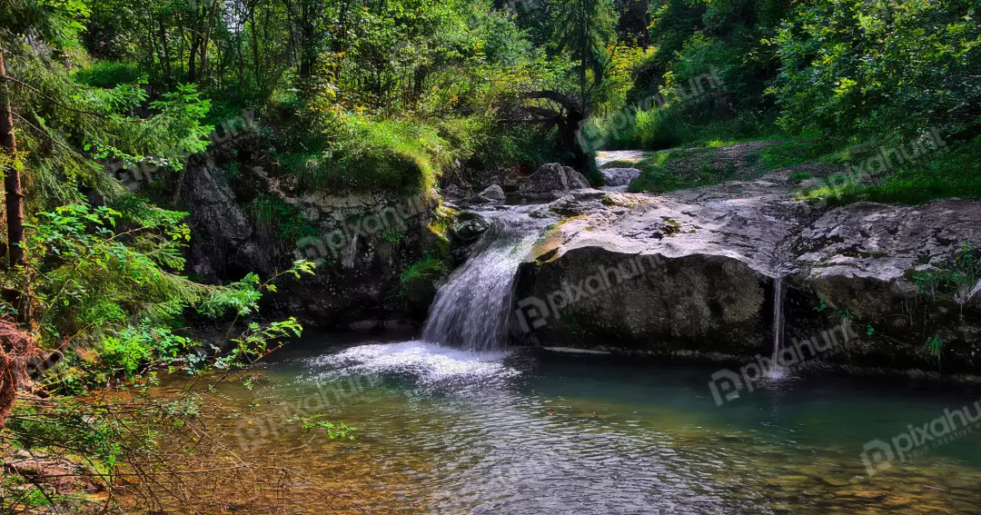 Forest Waterfall and Rocky Stream in Lush Green Woodland Landscape