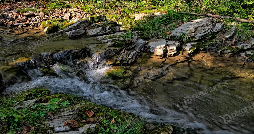 Clear Forest Stream Flowing Over Rocks and Mossy Banks