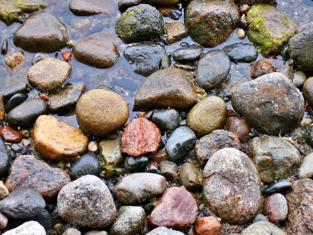 Wet River Stones and Mossy Pebbles Submerged in Clear Shallow Water
