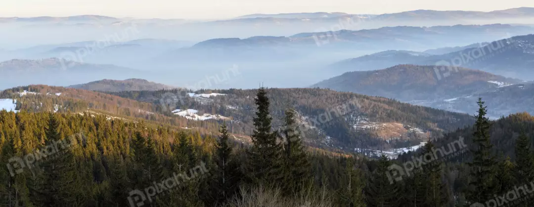 Misty Winter Mountain Layers Panoramic Vista with Pine Forests