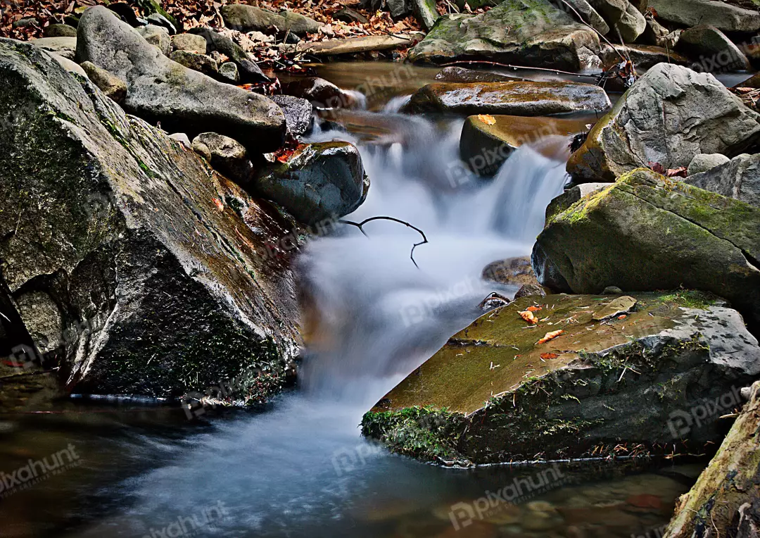 Serene Forest Stream with Cascading Water and Mossy Rocks in Autumn