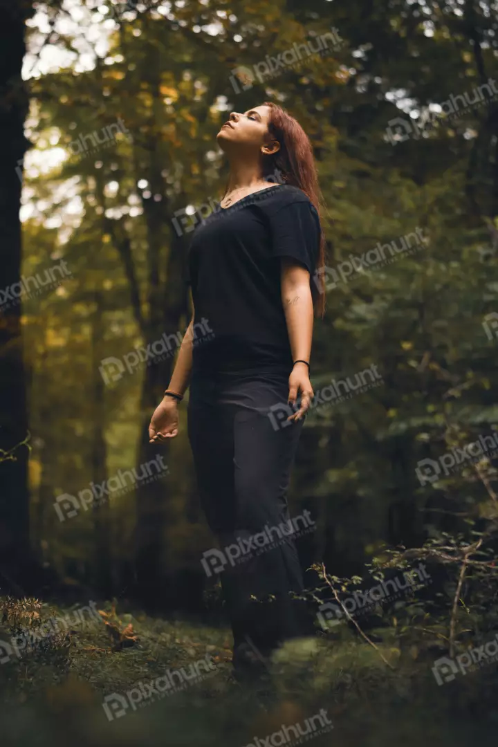 Free Premium Stock Photos Young Woman Finds Serenity in Sun-Dappled Autumn Forest