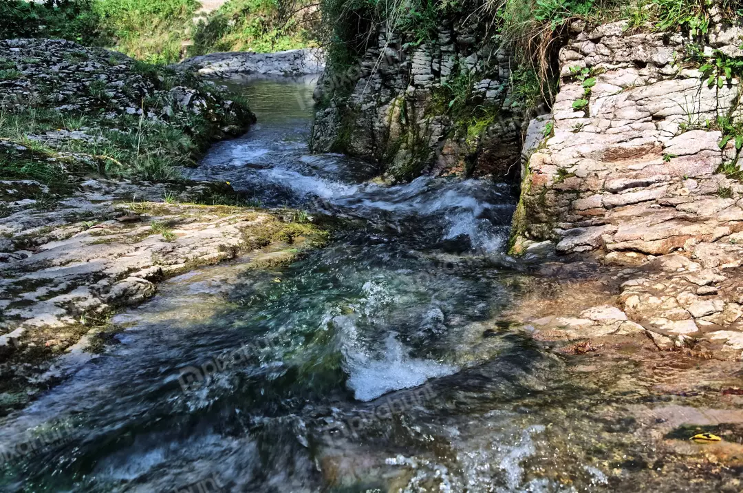 Refreshing Mountain Stream Cascading Over Rocks in a Green Forest