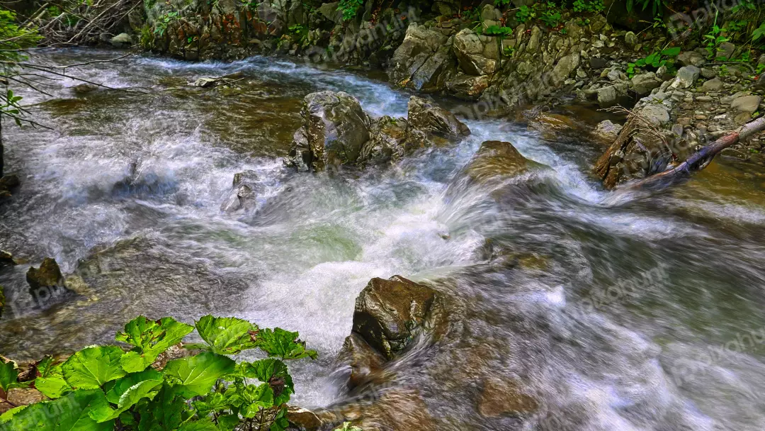 Dynamic Mountain Stream Flowing Through Rocky Forest Landscape