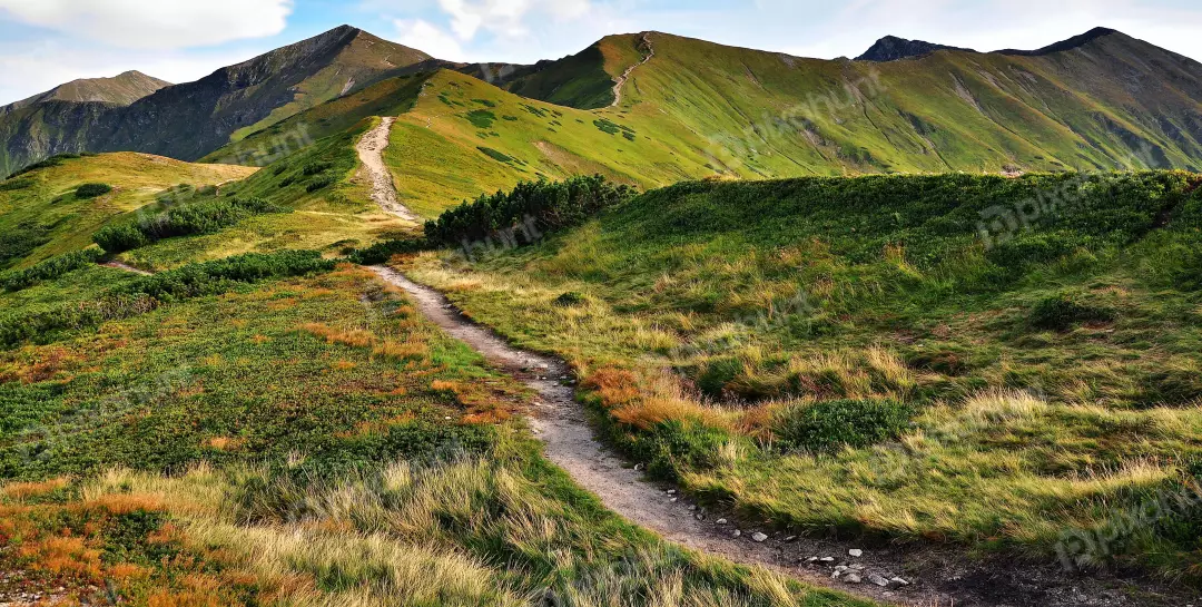 Winding Hiking Path Ascends Majestic Green Mountains Under a Clear Sky