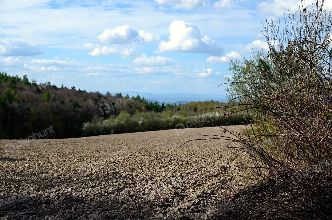 Plowed Farm Field with Forest and Distant Mountains under Cloudy Sky