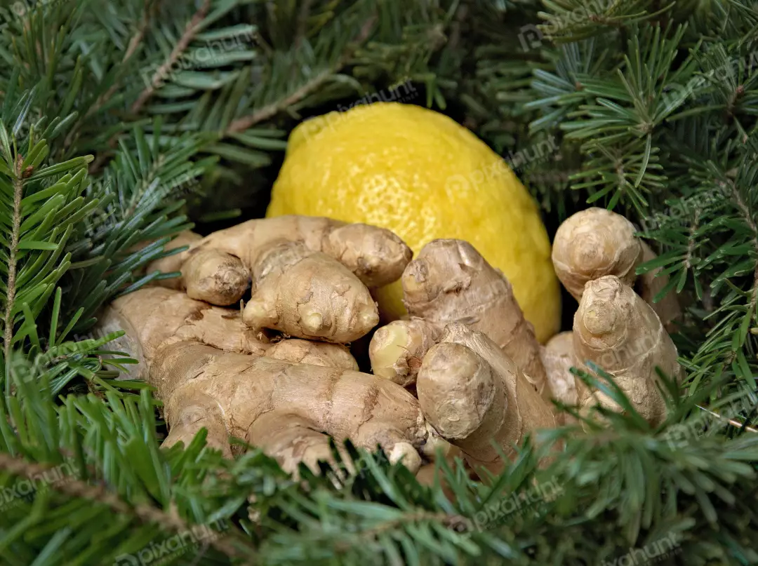 Fresh Ginger Root and Zesty Lemon Nestled in Aromatic Pine Branches