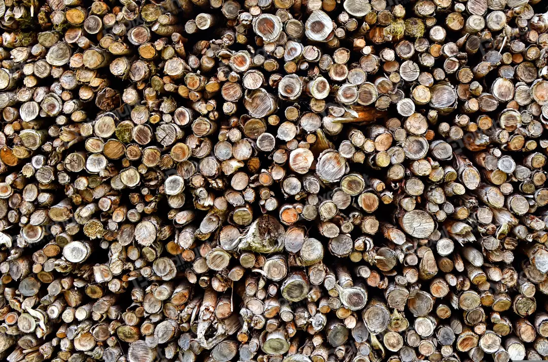 Stacked Firewood Logs Natural Wood Texture Background