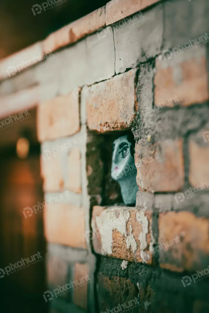 Free Premium Stock Photos Mysterious Face in Brick Niche