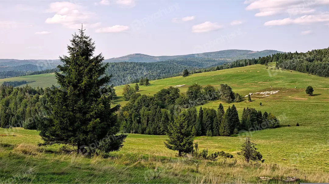 Rolling Green Hills, Pine Forests, and Distant Mountains under Cloudy Sky