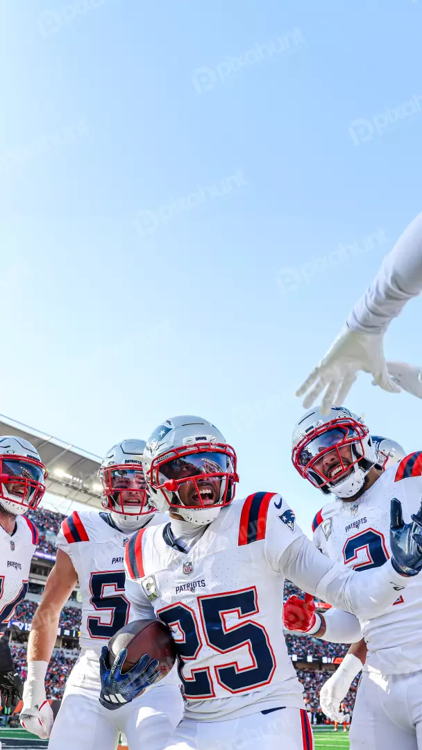 New England Patriots Players Celebrate Touchdown on Sunny Football Field