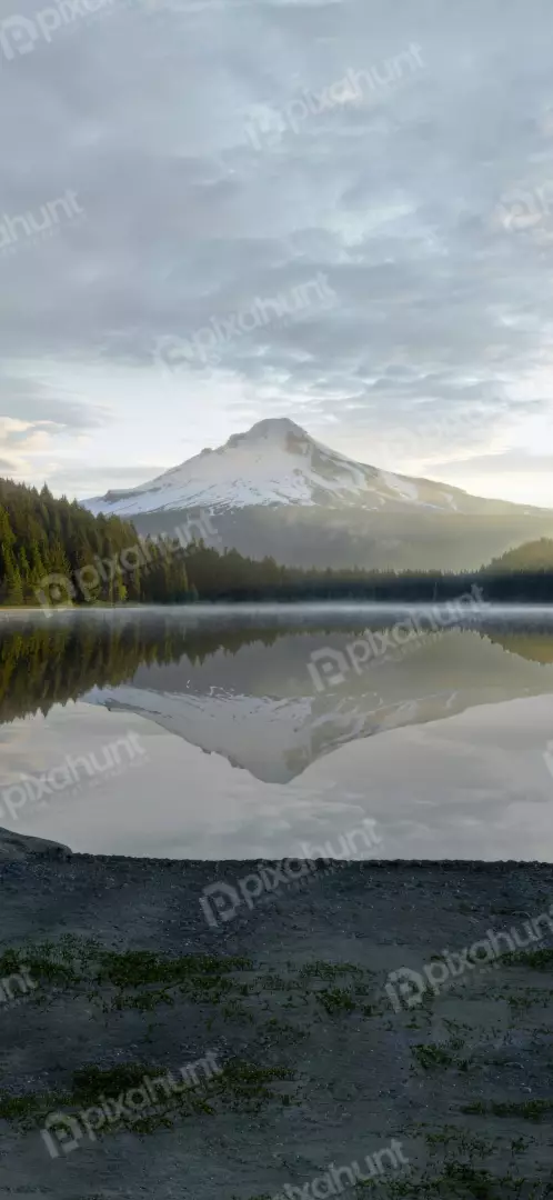 Free Premium Stock Photos Misty Mountain Lake Reflection at Sunrise with Evergreen Forest
