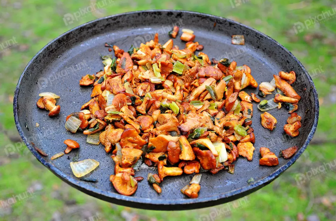 Sizzling Chanterelle Mushrooms with Green Onions in Rustic Frying Pan Outdoor Cooking