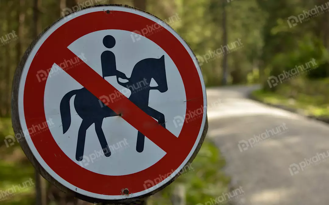 No Horse Riding Sign on Forest Trail Path Warning