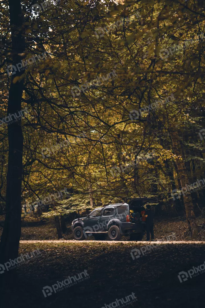 Free Premium Stock Photos Person Loading SUV on Forest Dirt Road Amidst Golden Autumn Foliage