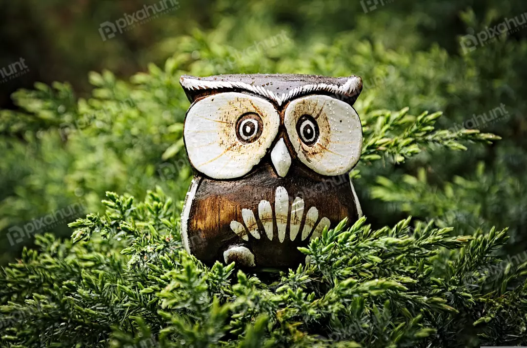 Hand-carved Wooden Owl Figurine Nestled in Lush Green Foliage with Water Droplets