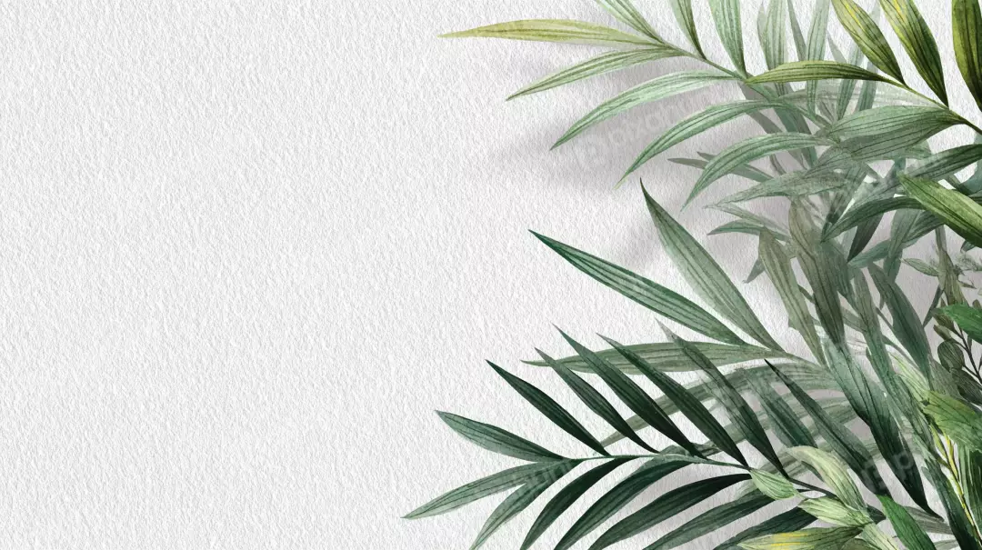 Free Premium Stock Photos Elegant Watercolor Green Palm Leaves on Textured White Background for Design
