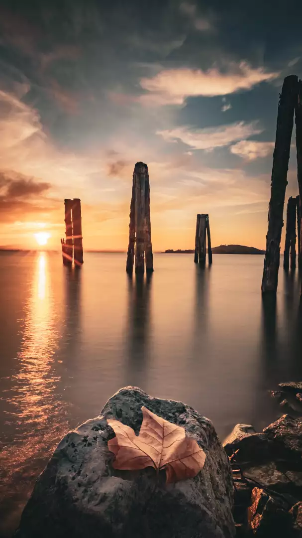 Free Premium Stock Photos Autumn Leaf on Rock by Old Wooden Pilings at Golden Sunset