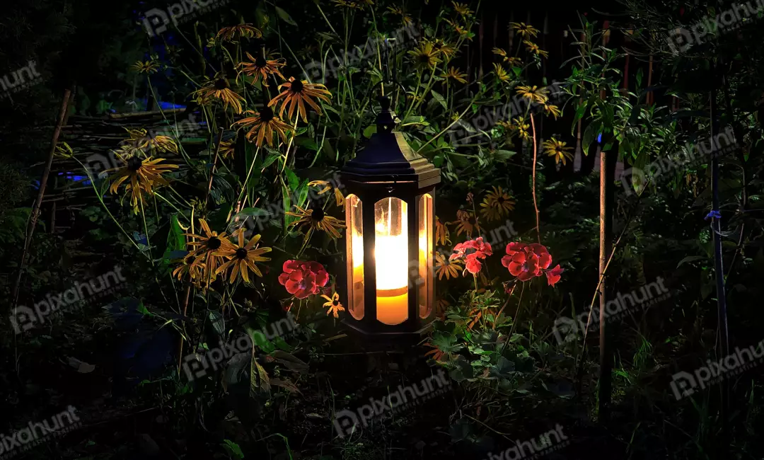 Romantic Garden Lantern Illuminating Flowers at Night