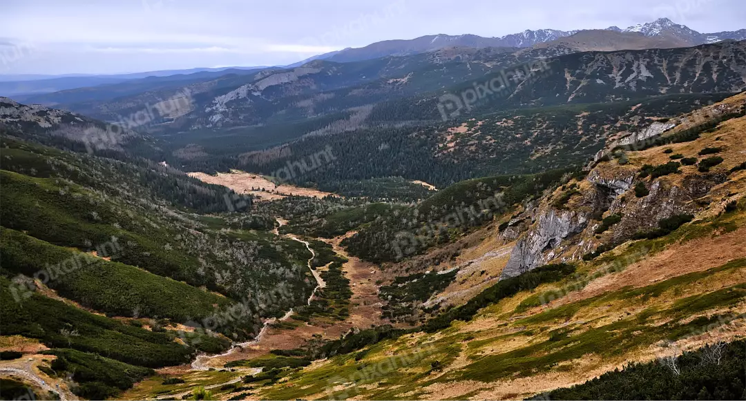 Mountain Valley Landscape with Alpine Vegetation and Distant Peaks