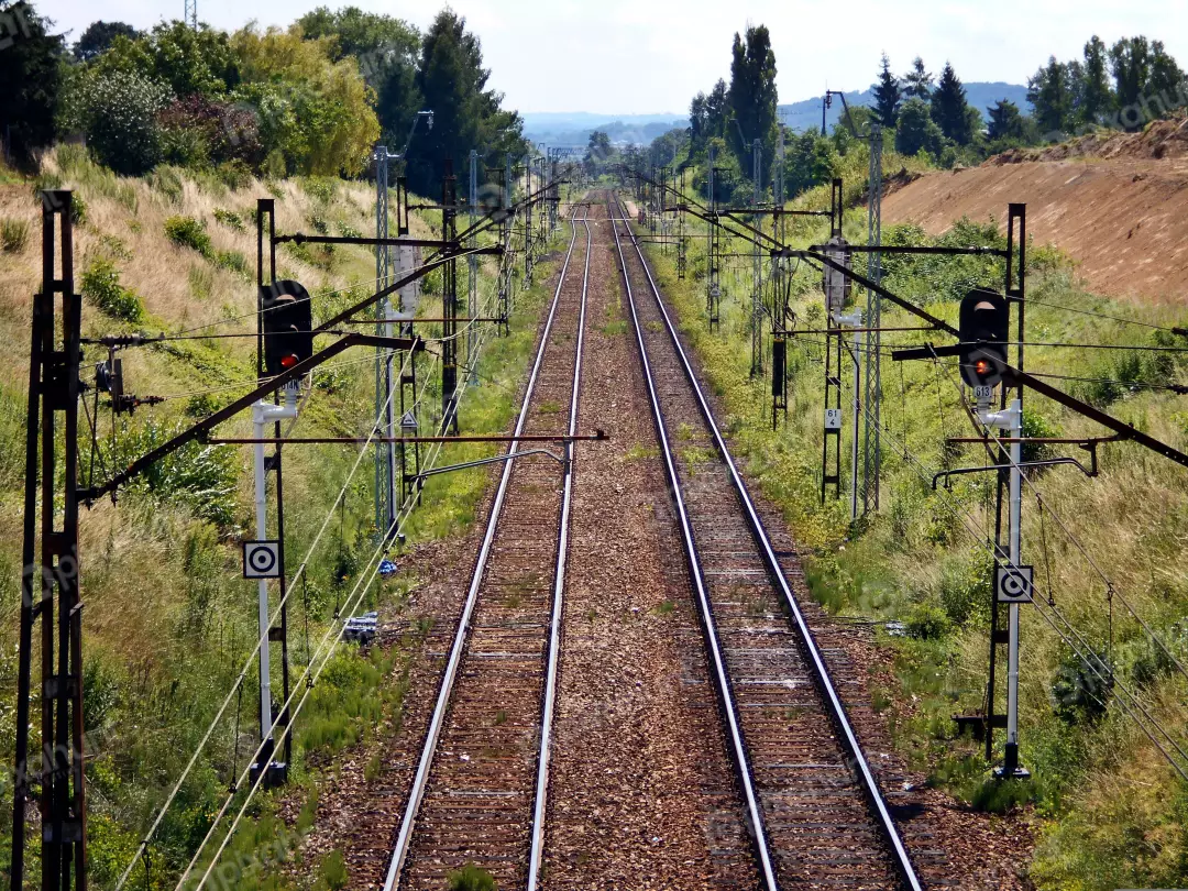 Parallel Railway Tracks with Red Signals and Intricate Overhead Power Lines in Nature