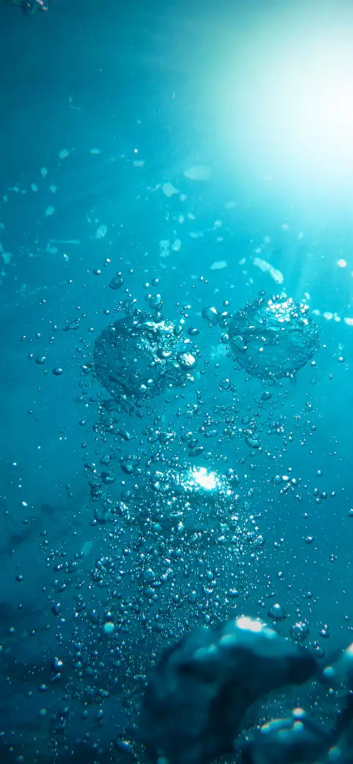 Free Premium Stock Photos Underwater Scene with Bubbles Rising Towards Sunlight