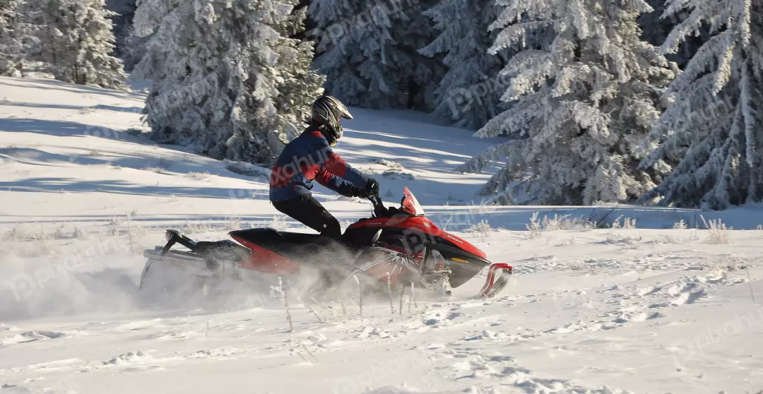 Dynamic Snowmobile Adventure in Sunlit Winter Forest Landscape