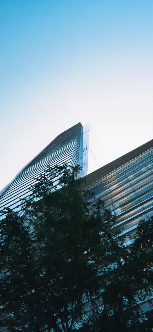 Free Premium Stock Photos Modern Glass Skyscraper Reflecting Blue Sky with Green Tree Foreground