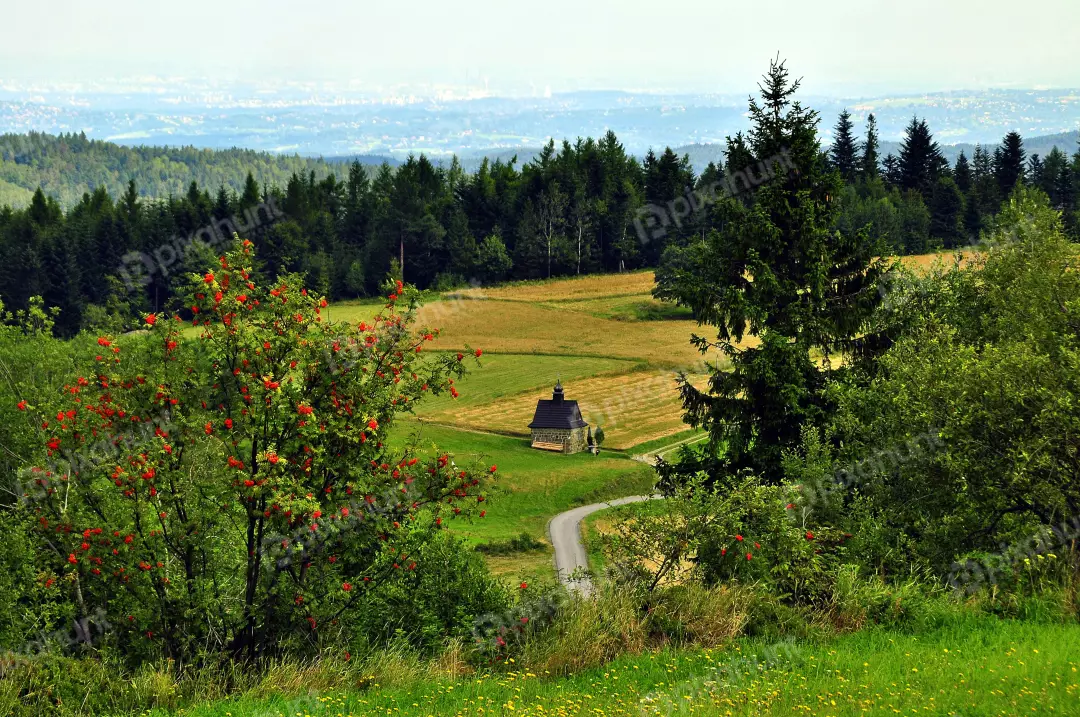 Scenic Mountain Valley with Quaint Chapel, Winding Road, and Vibrant Nature