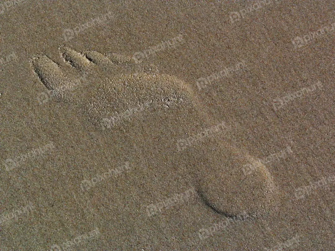 Single Human Footprint Impression on Wet Beach Sand
