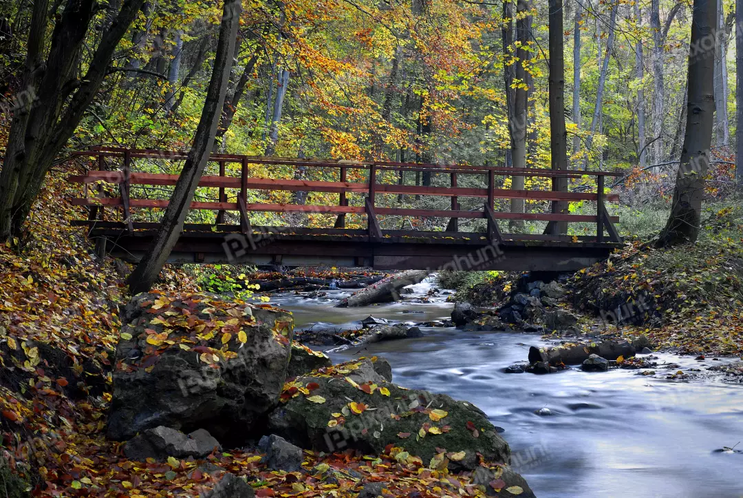 Scenic autumn view of a rustic wooden bridge crossing a flowing forest stream