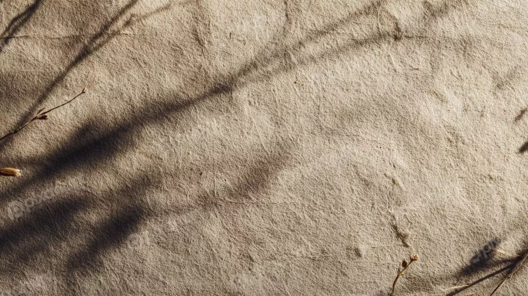 Free Premium Stock Photos Rustic Beige Paper Texture with Delicate Branch Shadows and Soft Sunlight