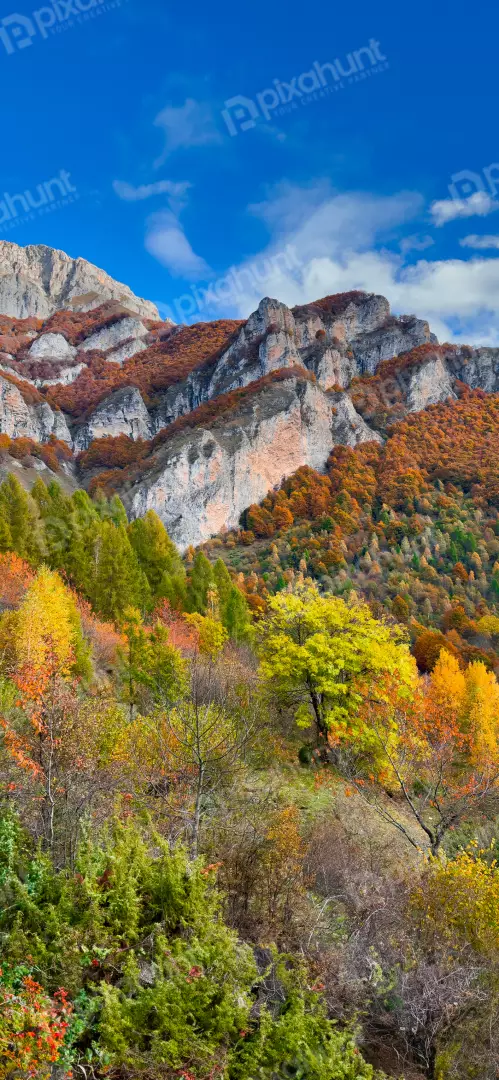 Free Premium Stock Photos Vibrant Autumn Mountain Landscape with Colorful Trees and Rocky Peaks