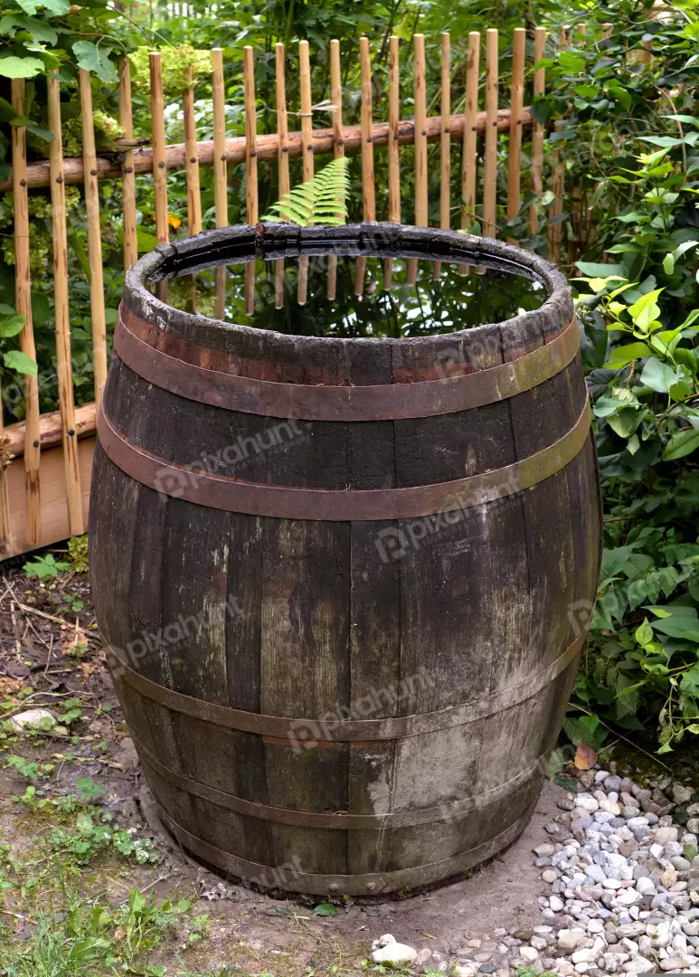 Rustic Wooden Barrel Rain Collector in Lush Garden Setting