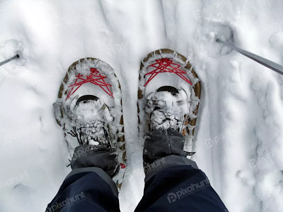 First-Person View of Snowshoes and Trekking Poles in Deep Winter Snow