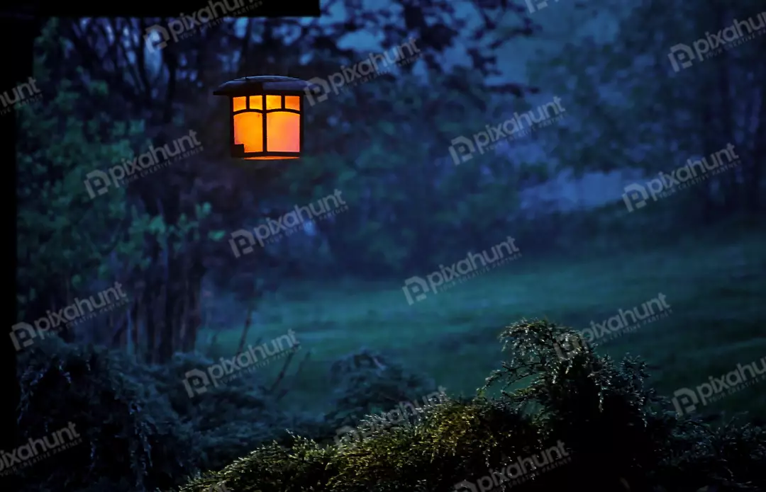 Warm Glowing Lantern Amidst a Mystical, Misty Night Forest Scene