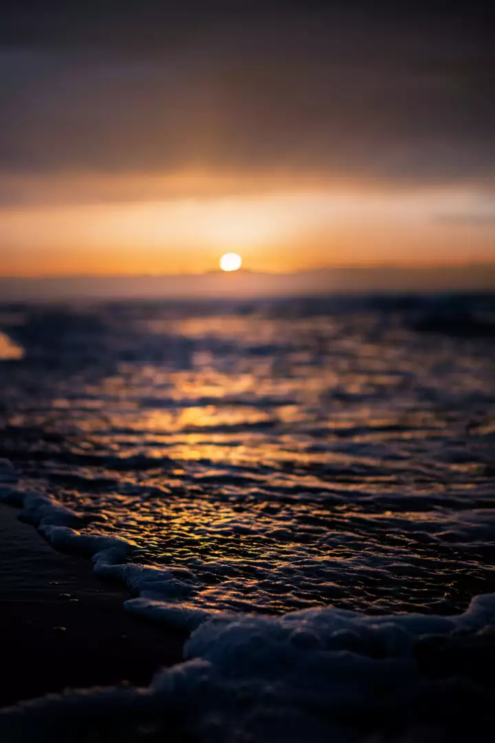 Free Premium Stock Photos Serene Ocean Sunset with Foamy Waves Reflecting Golden Light