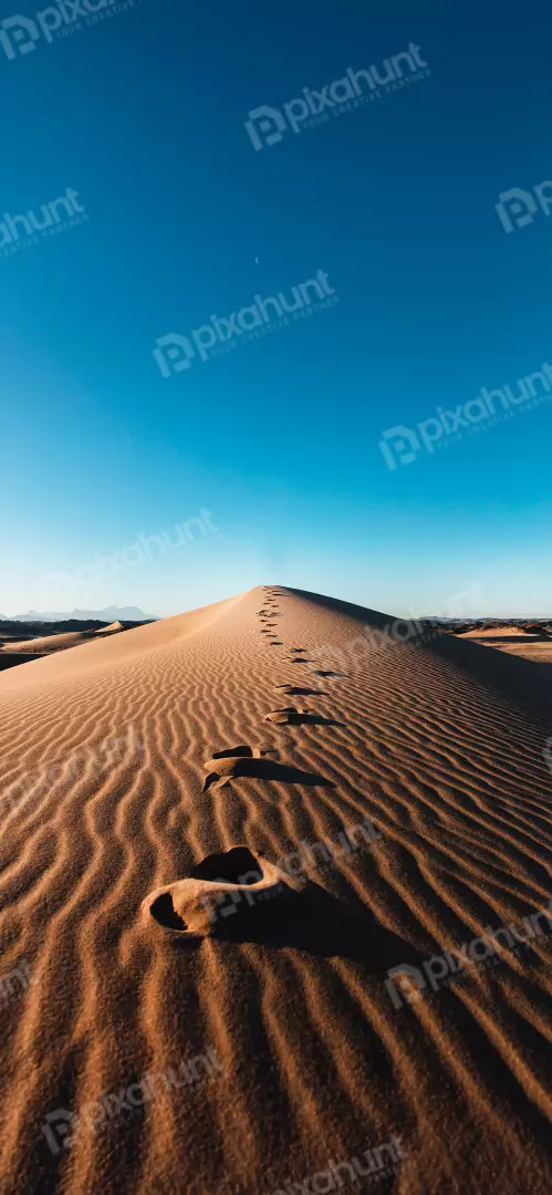 Free Premium Stock Photos Footprints on a windswept sand dune under a clear blue sky