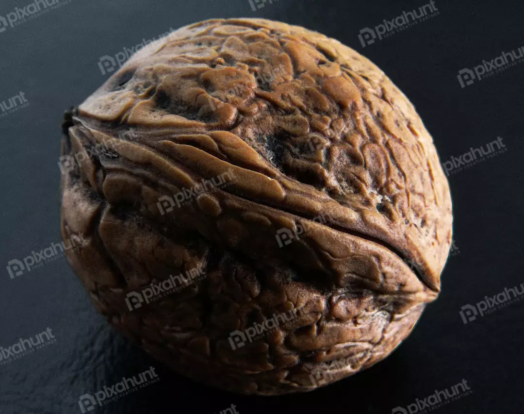 Detailed Macro Shot of a Single Walnut Shell on Dark Background