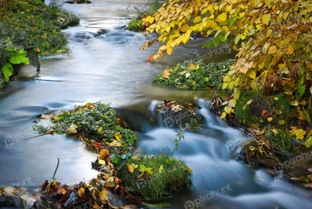 Long Exposure of Serene Autumn Stream with Golden Foliage in a Forest