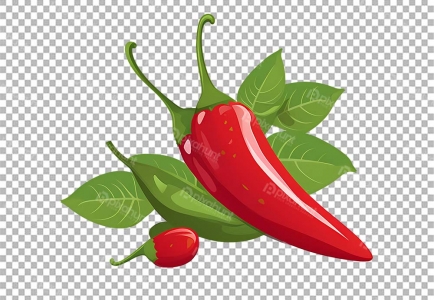 jalapeno chili pepper chili pepper chili red chili with leves