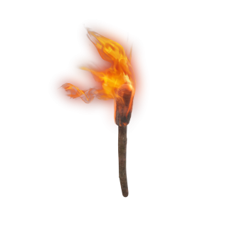 Burning hand torch On Transparent Surface