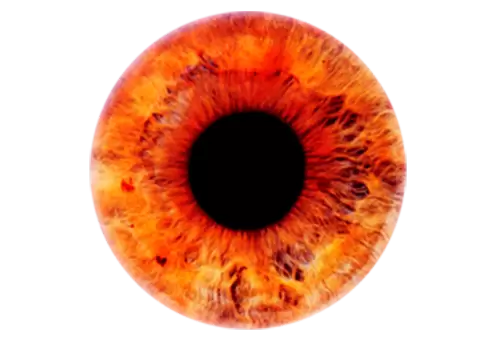 Abstract Red Human Eyeballs Iris Pupil on transparent background