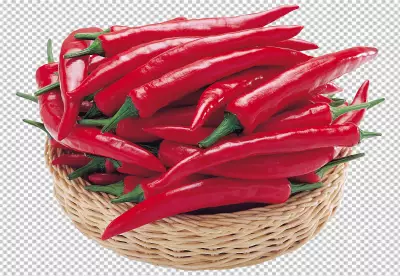 A green pepper with a green stem and the words quot re usable quot on it transparent background | pNG