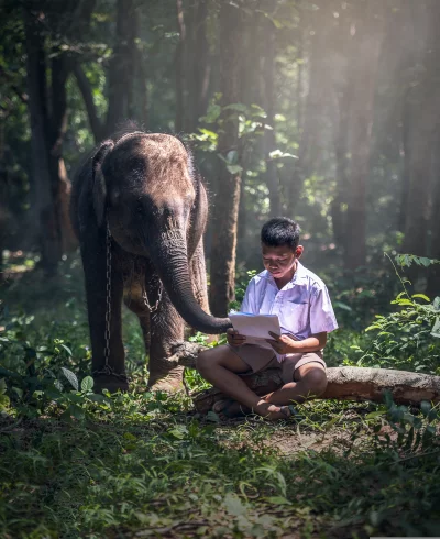 A photograph of a boy sitting on a log in a forest and boy is wearing a school uniform and is reading a book