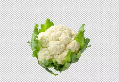 Fresh Cauliflower PNG Download, High-Quality Graphics for Your Designs