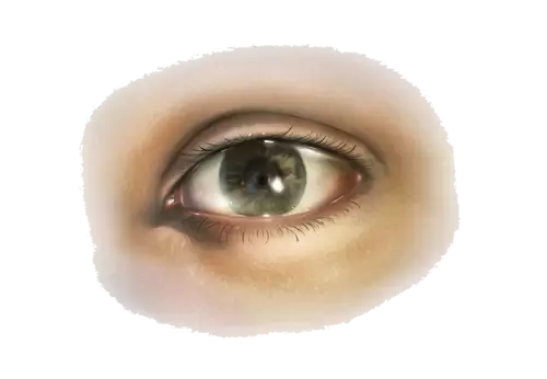 Closeup shot of a person's brown eye PNG